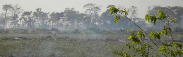 Calidad ambiental