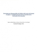 Estrategia para responsables de politicas del sector de energia en apoyo a la mplementa...