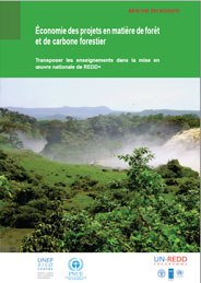 Économie des projets en matière de forêt et de carbone forestier