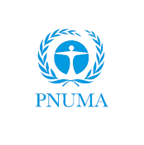 Pnuma